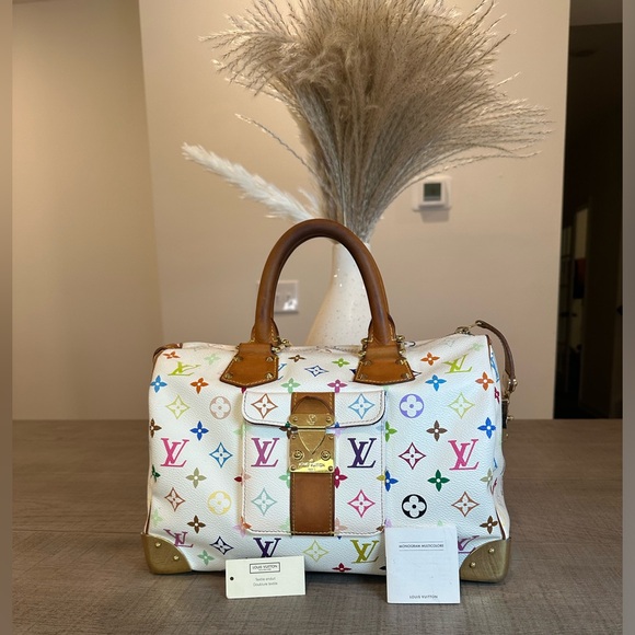 Louis Vuitton Multicolored Murakami Speedy 30 - Picture 1 of 16